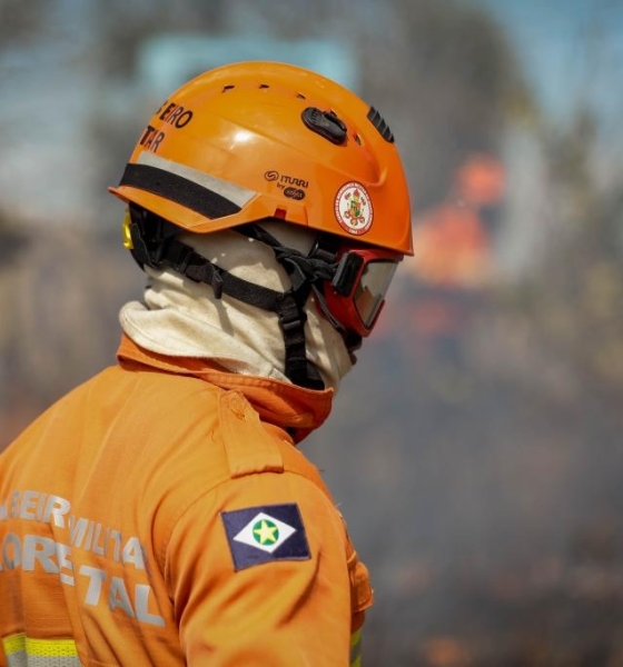 Corpo de Bombeiros combate 11 incêndios florestais nesta quinta-feira (14)
