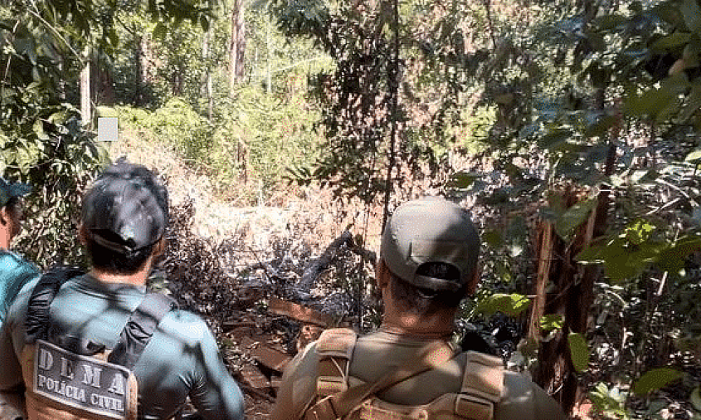 Polícia flagra desmatamento em área de preservação permanente em Mato Grosso