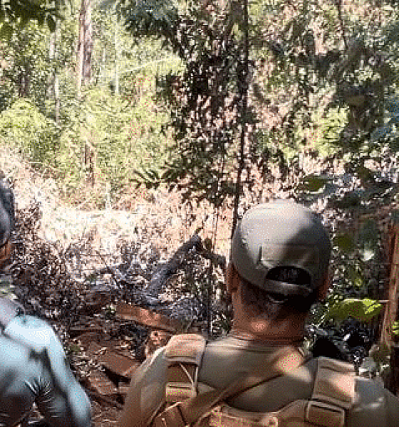 Polícia flagra desmatamento em área de preservação permanente em Mato Grosso