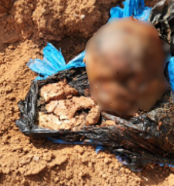 Polícia apura caso de cabeça humana abandonada em cemitério de Alta Floresta