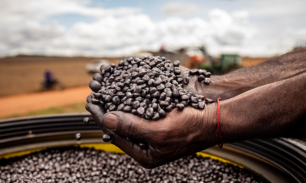 Sedec busca soluções inovadoras para o setor de sementes em missão técnica internacional