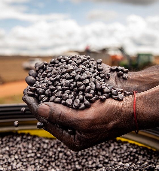 Sedec busca soluções inovadoras para o setor de sementes em missão técnica internacional