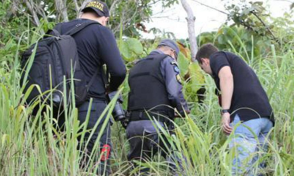 Homem vê fumaça em matagal e encontra corpo carbonizado