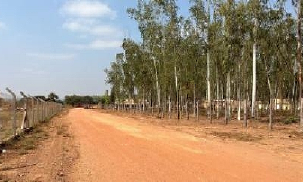 Trabalhador morre triturado por máquina em fábrica de VG