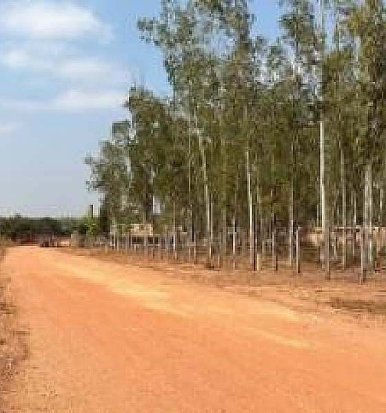 Trabalhador morre triturado por máquina em fábrica de VG