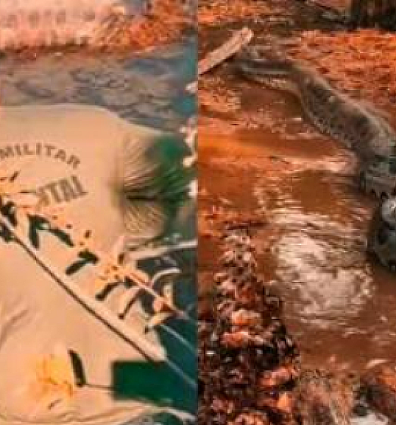 Sucuri de 5 metros é resgatada de açude em zona rural de MT