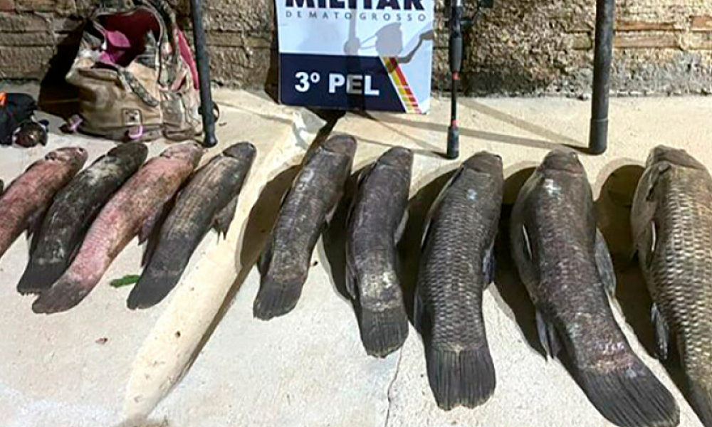 Homem é detido por pesca predatória no Nortão