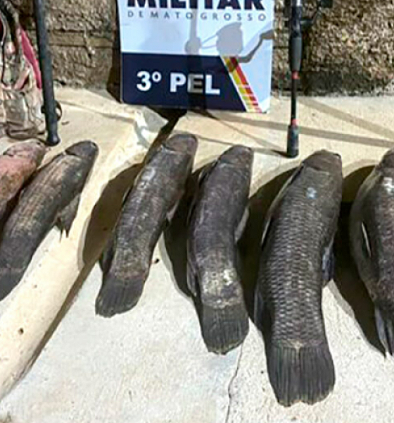 Homem é detido por pesca predatória no Nortão