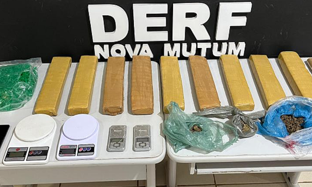Polícia Civil apreende nove tabletes de maconha e prende dois por tráfico em Nova Mutum