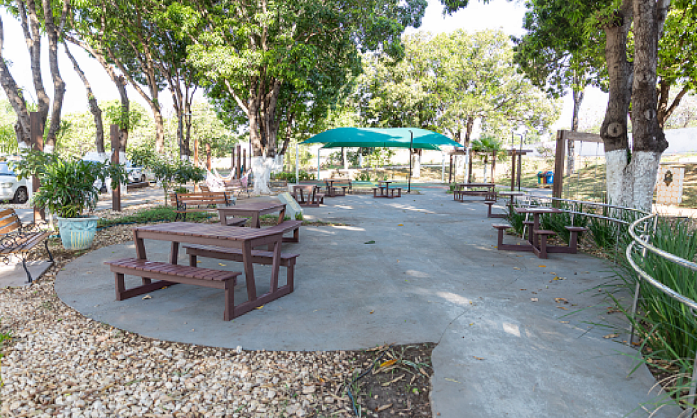 Bem-Estar Animal promove atividade de interação entre cães e idosos no Abrigo Bom Jesus em Cuiabá