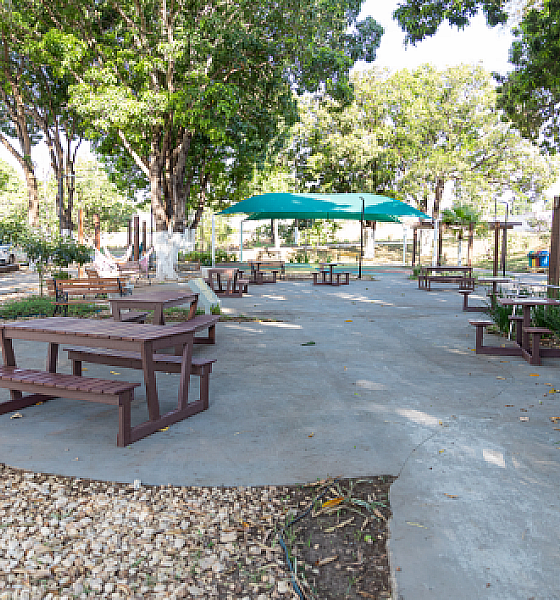 Bem-Estar Animal promove atividade de interação entre cães e idosos no Abrigo Bom Jesus em Cuiabá