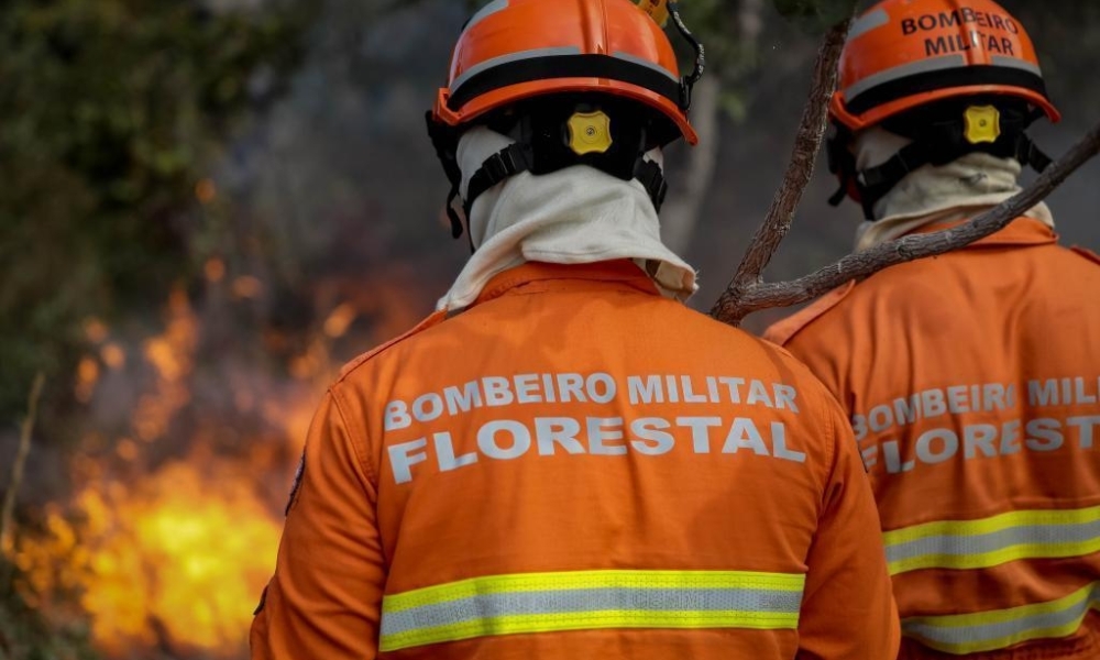 Corpo de Bombeiros combate 31 incêndios florestais nesta sexta-feira (12)