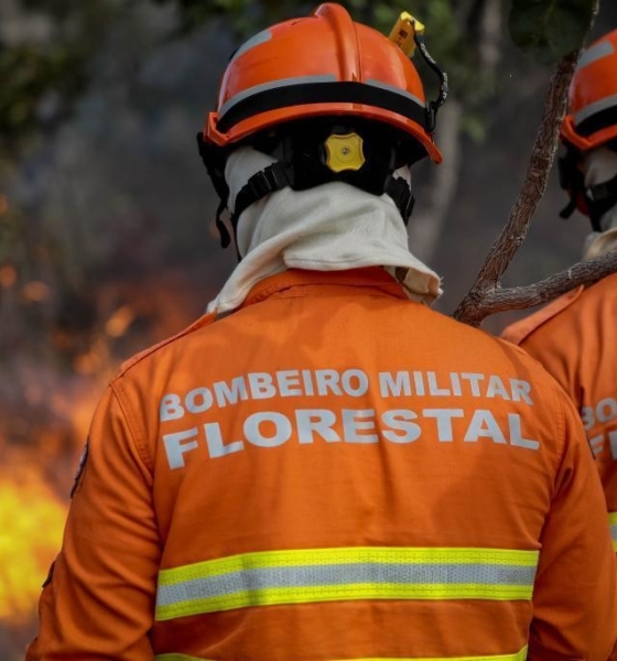 Corpo de Bombeiros combate 31 incêndios florestais nesta sexta-feira (12)