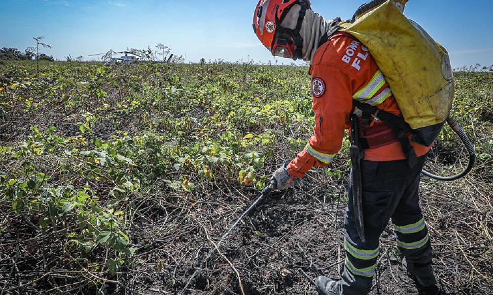 Corpo de Bombeiros combate 30 incêndios florestais neste domingo (14)