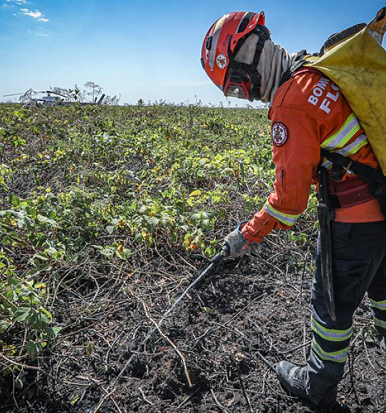 Corpo de Bombeiros combate 30 incêndios florestais neste domingo (14)