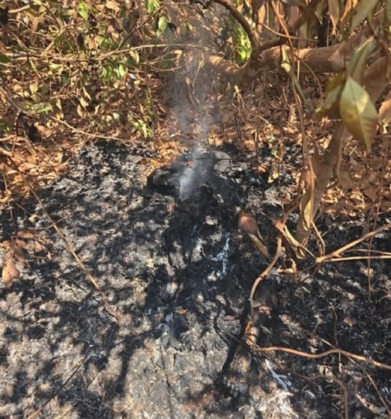 Corpo carbonizado é encontrado em área de mata em Confresa