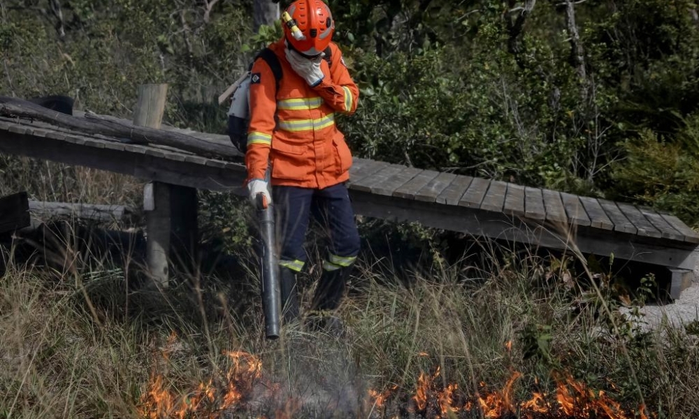 Corpo de Bombeiros combate 30 incêndios florestais nesta segunda-feira (15)