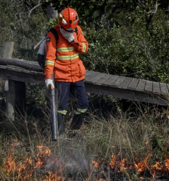 Corpo de Bombeiros combate 30 incêndios florestais nesta segunda-feira (15)