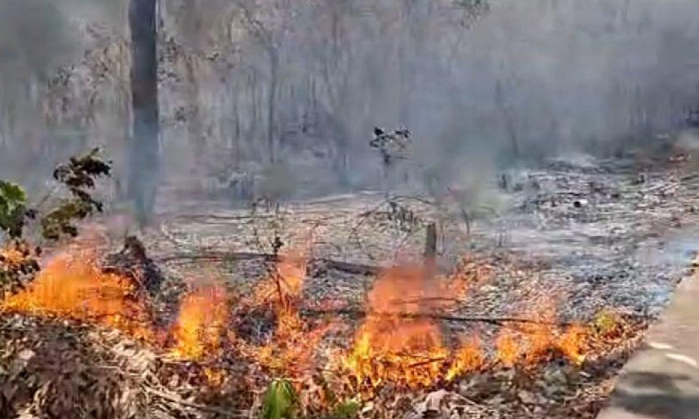 Homem é preso por provocar incêndio em área de vegetação urbana em Barra do Garças
