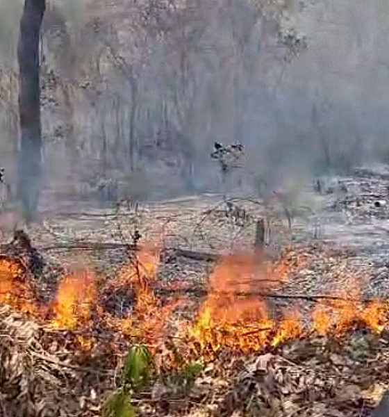 Homem é preso por provocar incêndio em área de vegetação urbana em Barra do Garças