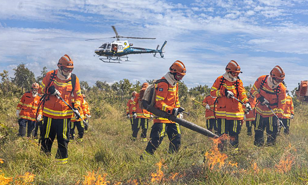 Corpo de Bombeiros combate oito incêndios florestais neste sábado (27)