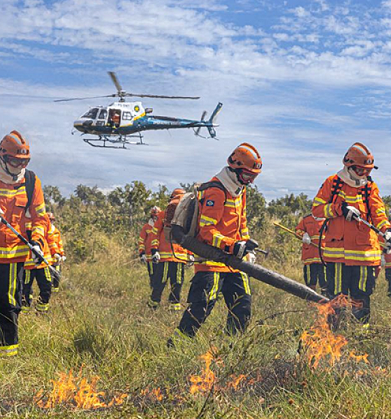 Corpo de Bombeiros combate oito incêndios florestais neste sábado (27)