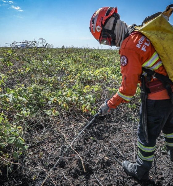Corpo de Bombeiros combate 15 incêndios florestais nesta terça-feira (30)