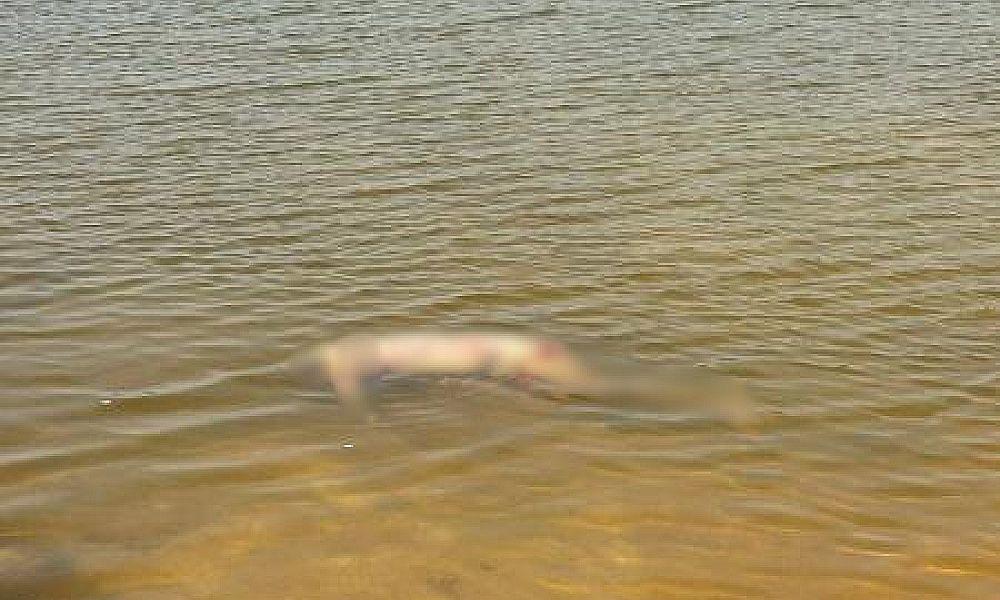 Corpo com marcas de violência é encontrado boiando na Lagoa das Garças em Sinop