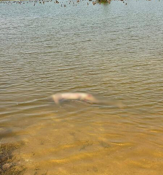 Corpo com marcas de violência é encontrado boiando na Lagoa das Garças em Sinop
