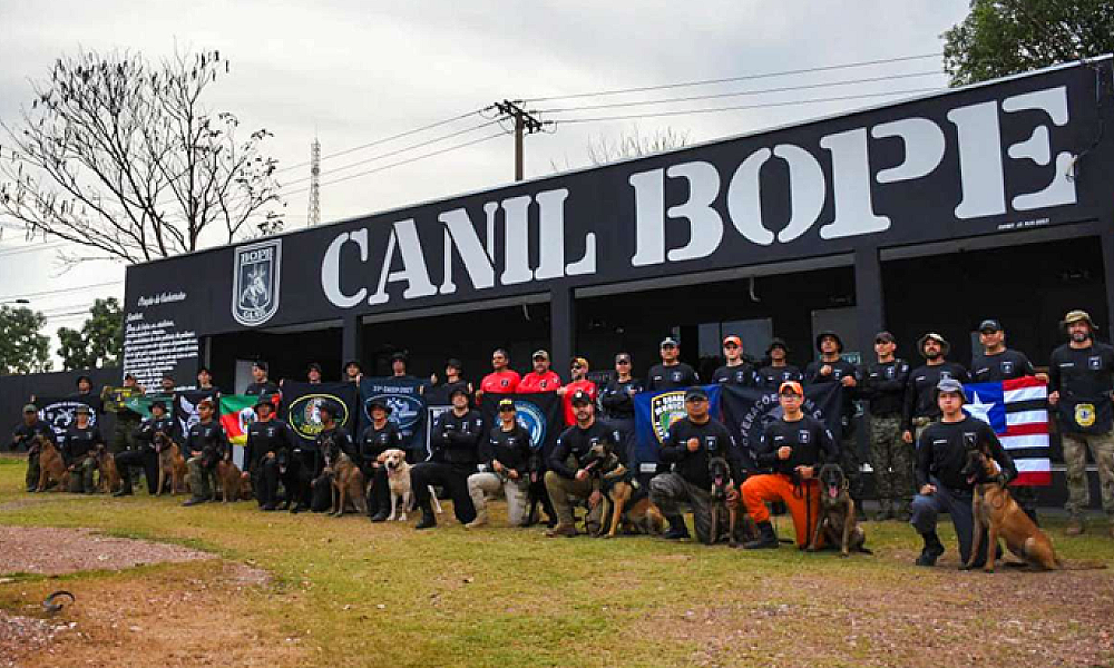 Guarda Municipal de Várzea Grande conclui curso de cães detectores de drogas