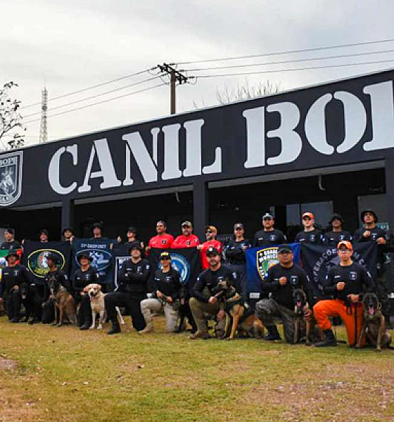Guarda Municipal de Várzea Grande conclui curso de cães detectores de drogas