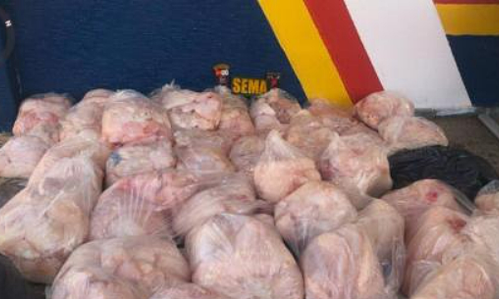 Dois homens são multados em quase R$ 300 mil por caça ilegal de jacaré e pescado em MT