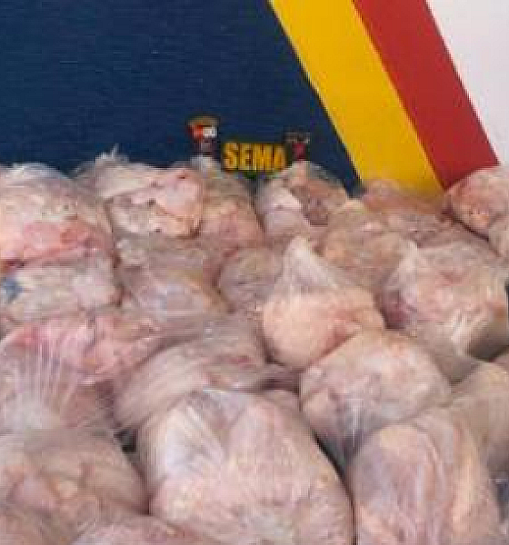 Dois homens são multados em quase R$ 300 mil por caça ilegal de jacaré e pescado em MT