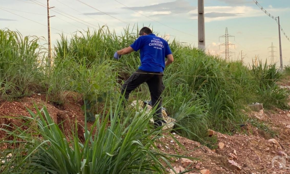 Corpo de jovem é encontrado com sinais de execução na Rodovia dos Imigrantes