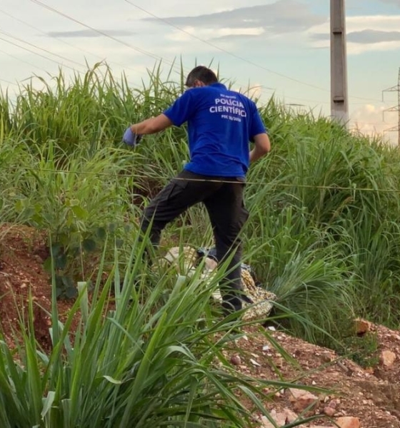 Corpo de jovem é encontrado com sinais de execução na Rodovia dos Imigrantes