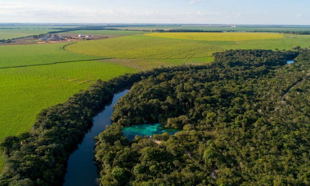 Governo do Estado e PCI promovem Seminário Pré-COP 30 em Brasília