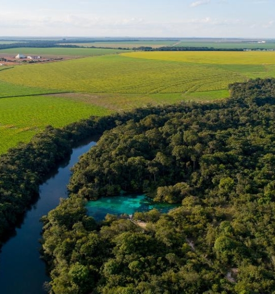 Governo do Estado e PCI promovem Seminário Pré-COP 30 em Brasília