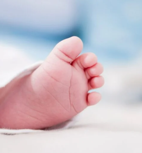 Recém-nascido é encontrado morto em Rondonópolis; Polícia investiga caso