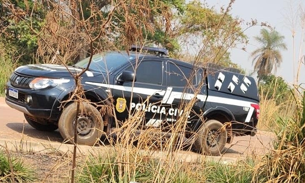 Operação conjunta da Polícia Civil e Sema combate crimes ambientais em Terra Nova Do Norte