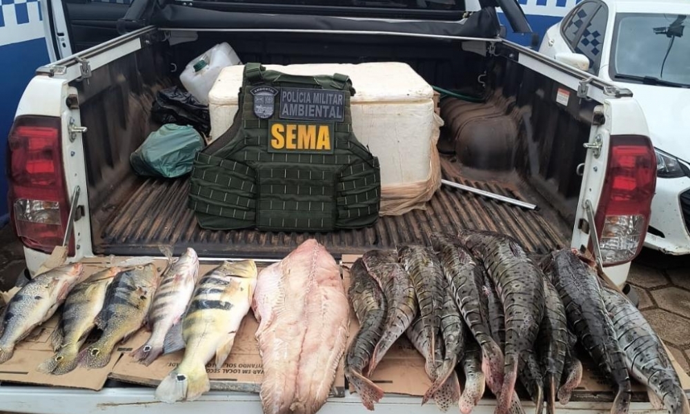 Sema e PM apreendem cerca de 70 quilos de pescado irregular nos ltimos quatro dias