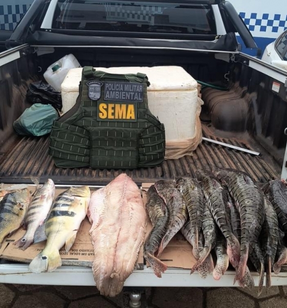 Sema e PM apreendem cerca de 70 quilos de pescado irregular nos ltimos quatro dias
