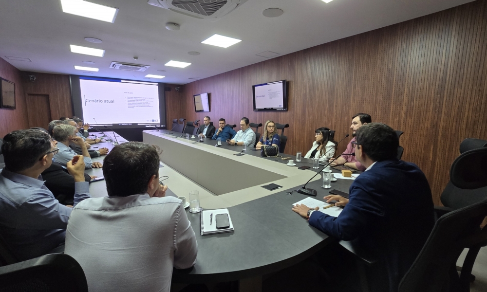 Jucemat lança emissão de certidão simplificada pelo WhatsApp