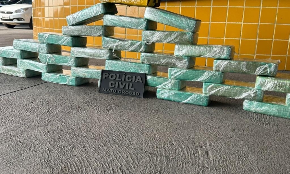 Forças de Segurança apreendem 30 tabletes de pasta base que eram transportados em caminhão frigorífico