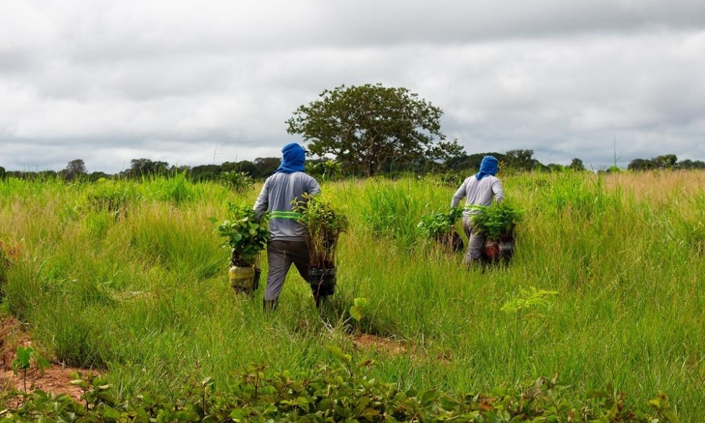 Sema e parceiros lançam segundo lote do Programa Todos pelo Araguaia nesta quinta-feira (23)