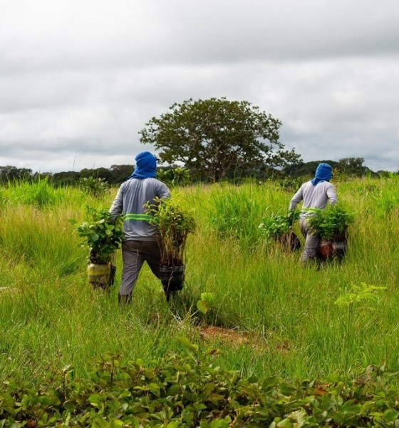 Sema e parceiros lançam segundo lote do Programa Todos pelo Araguaia nesta quinta-feira (23)