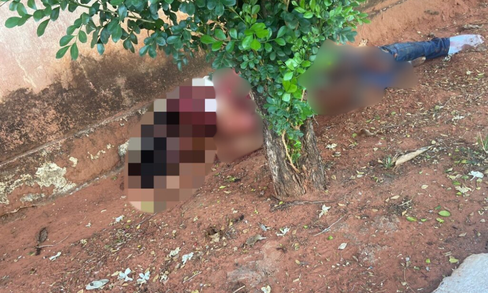 Ritual macabro e versão contraditória: dupla é presa por homicídio brutal 