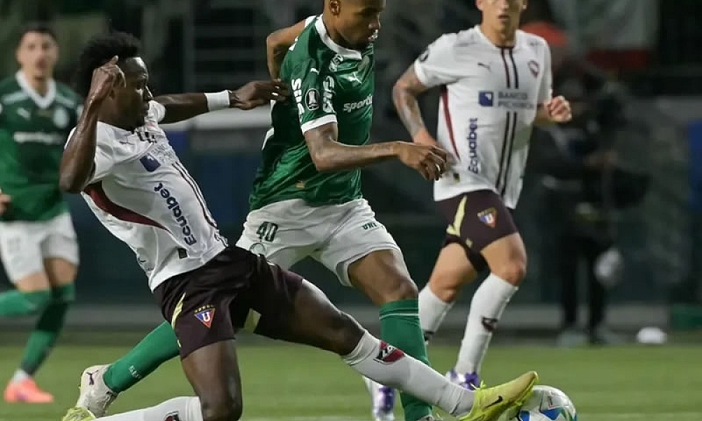 Palmeiras vive noite histórica, goleia a LDU e garante vaga na final da Libertadores   