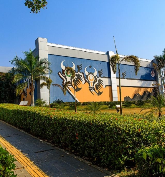 Governo de MT vai mostrar como aliar produção de alimentos e preservação ambiental na COP 30