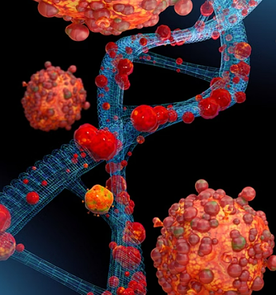 Mpox: por que doença pode voltar a ser emergência mundial