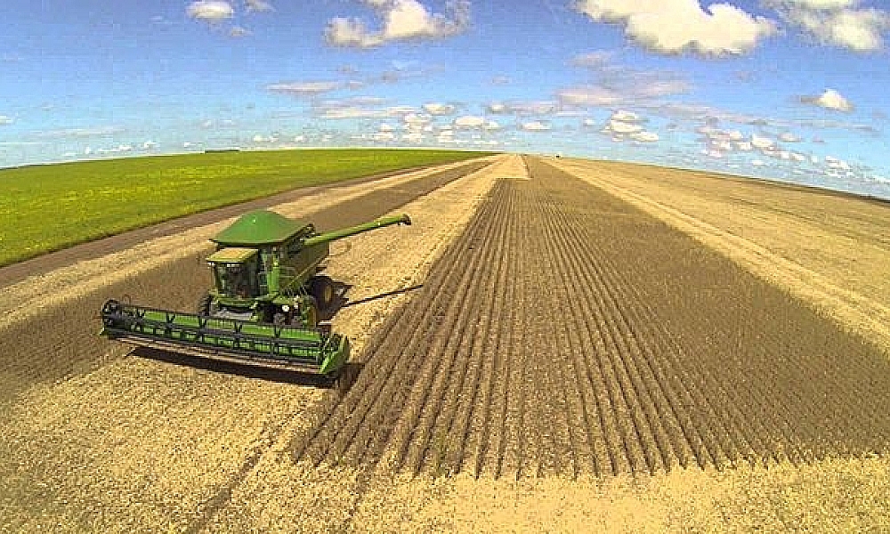 Mato Grosso retoma liderança nacional e impulsiona produção agropecuária em 2025